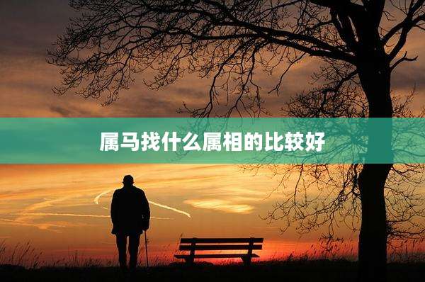 属马找什么属相的比较好