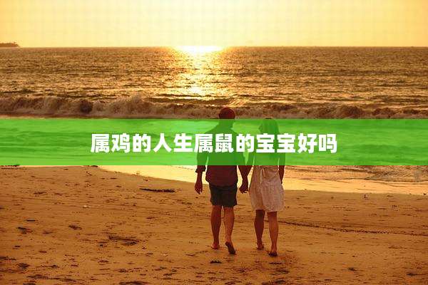属鸡的人生属鼠的宝宝好吗