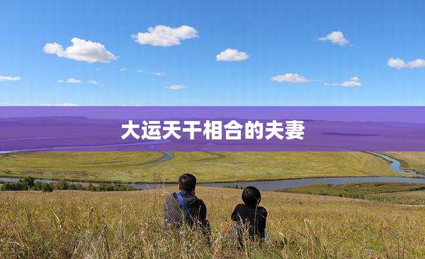 大运天干相合的夫妻