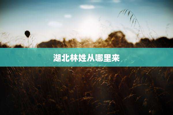 湖北林姓从哪里来