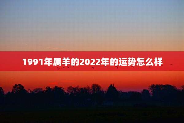 1991年属羊的2022年的运势怎么样