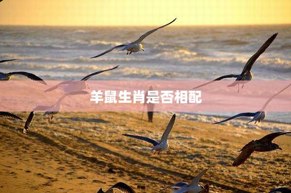 羊鼠生肖是否相配