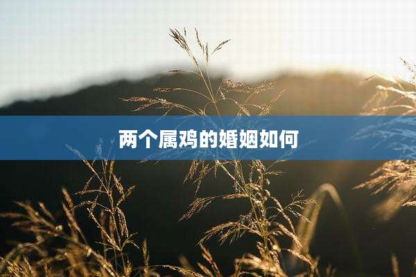 两个属鸡的婚姻如何