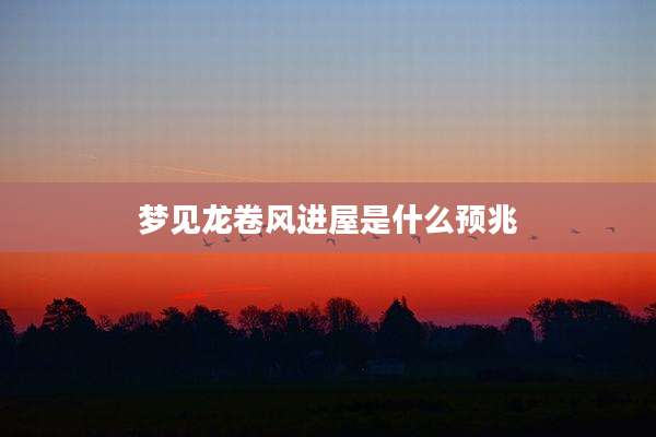 梦见龙卷风进屋是什么预兆