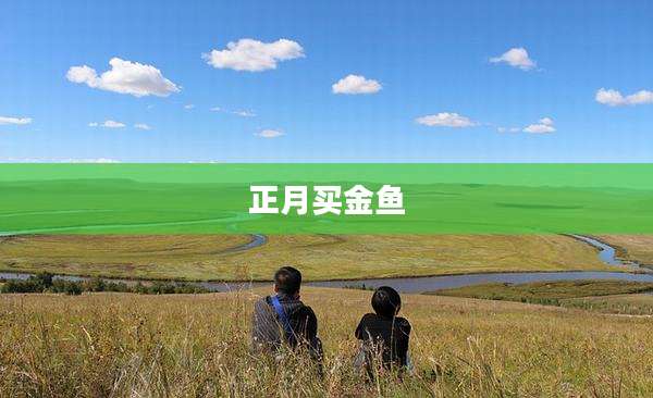 正月买金鱼