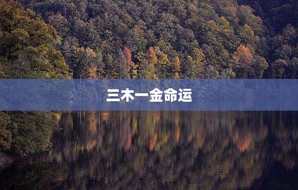 三木一金命运