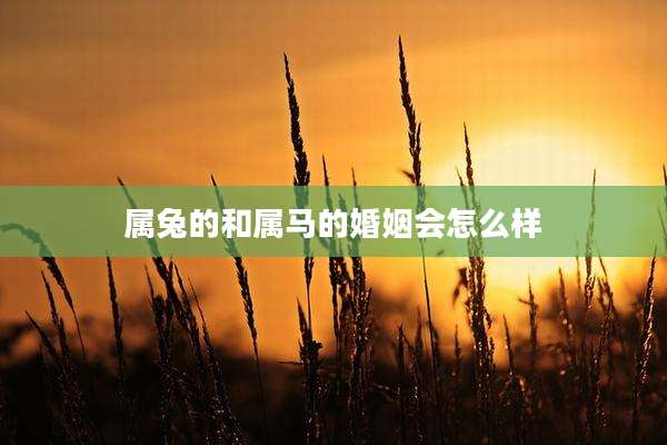 属兔的和属马的婚姻会怎么样