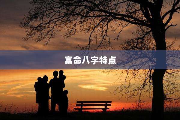 富命八字特点