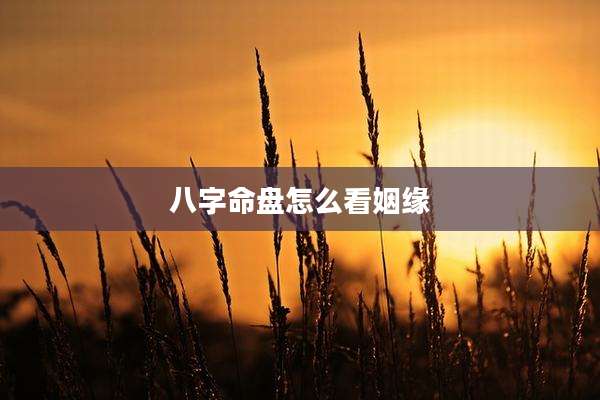 八字命盘怎么看姻缘