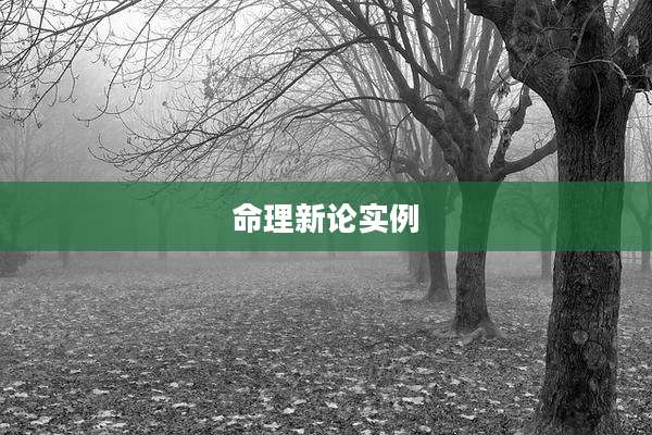 命理新论实例