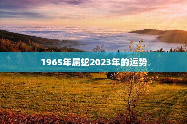 1965年属蛇2023年的运势