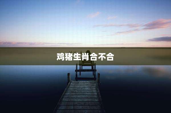鸡猪生肖合不合