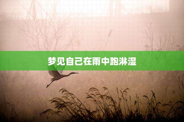 梦见自己在雨中跑淋湿