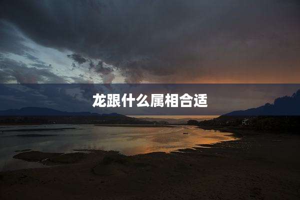 龙跟什么属相合适