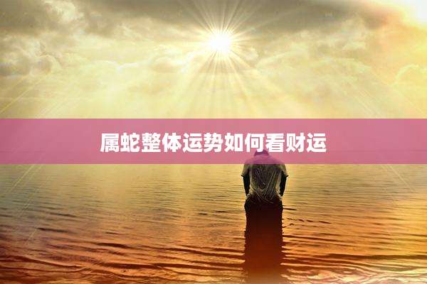 属蛇整体运势如何看财运