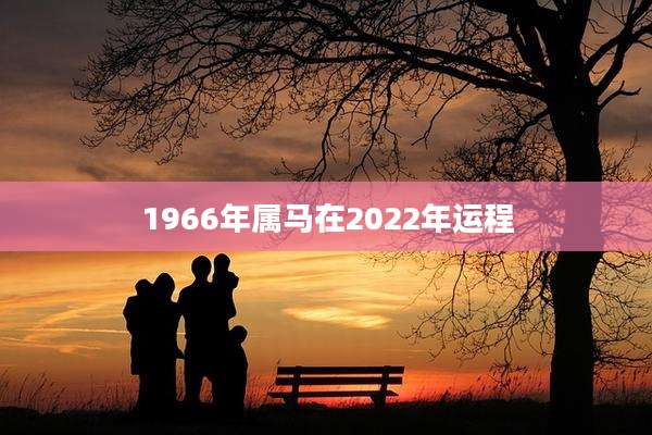 1966年属马在2022年运程