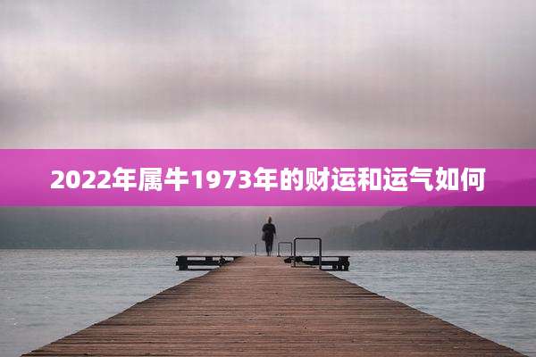 2022年属牛1973年的财运和运气如何