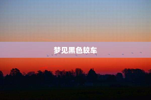 梦见黑色较车