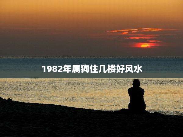 1982年属狗住几楼好风水