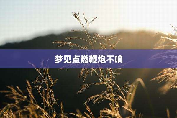 梦见点燃鞭炮不响