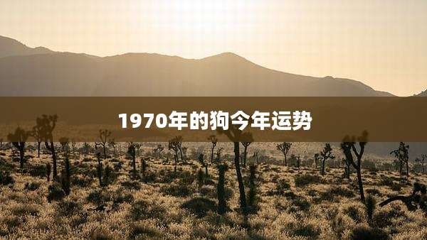 1970年的狗今年运势