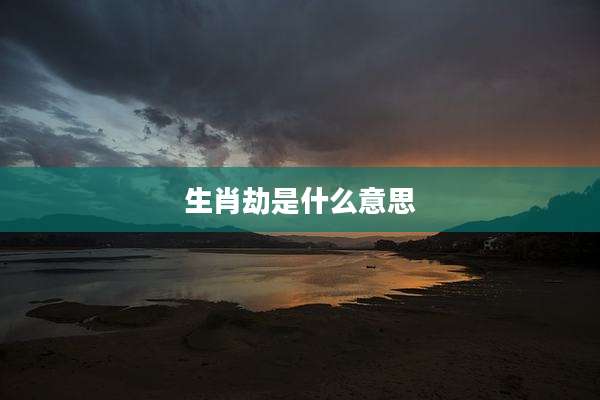 生肖劫是什么意思