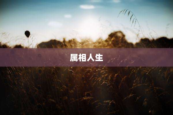属相人生