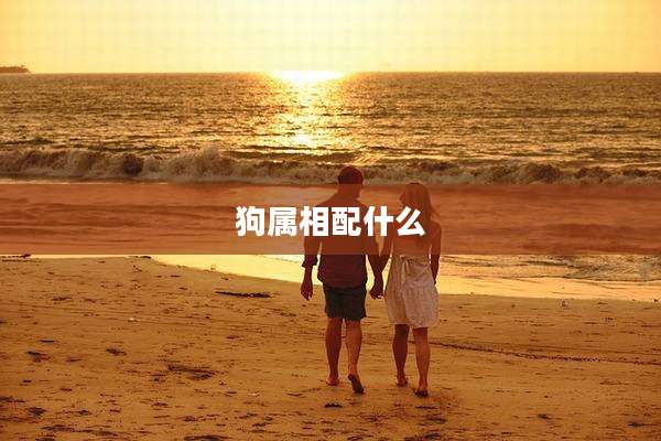 狗属相配什么