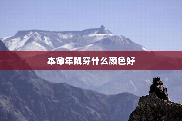 本命年鼠穿什么颜色好