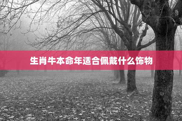 生肖牛本命年适合佩戴什么饰物