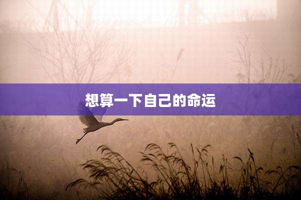 想算一下自己的命运