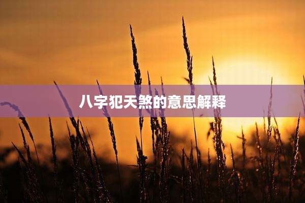 八字犯天煞的意思解释