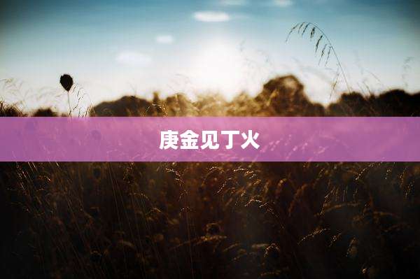 庚金见丁火