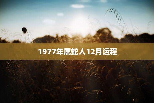 1977年属蛇人12月运程