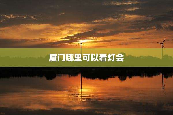 厦门哪里可以看灯会