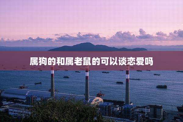 属狗的和属老鼠的可以谈恋爱吗