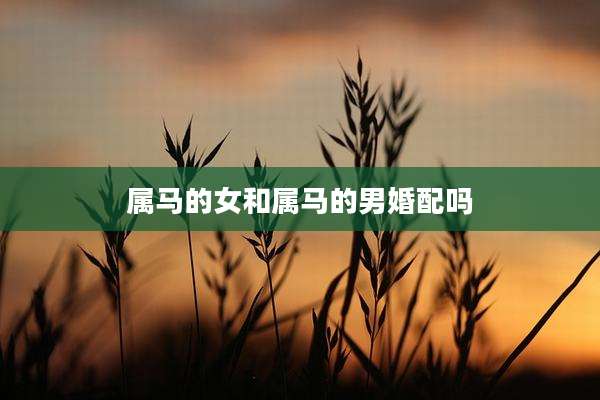 属马的女和属马的男婚配吗