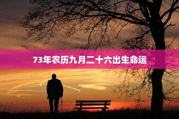 73年农历九月二十六出生命运