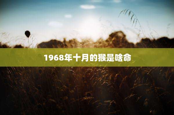 1968年十月的猴是啥命