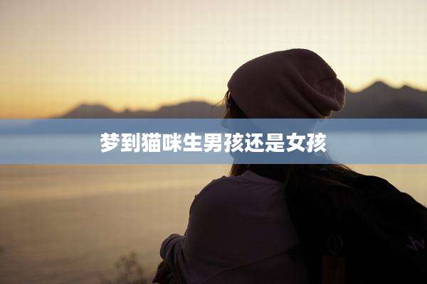 梦到猫咪生男孩还是女孩