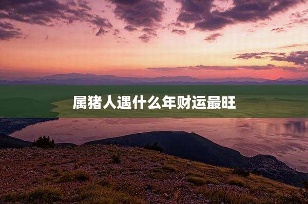属猪人遇什么年财运最旺