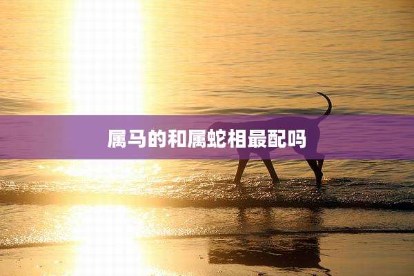 属马的和属蛇相最配吗