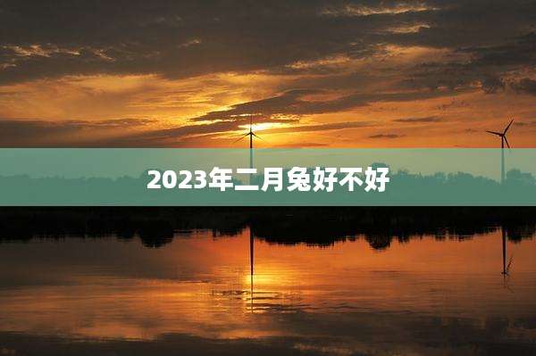 2023年二月兔好不好