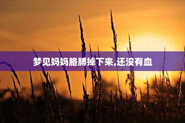 梦见妈妈胳膊掉下来,还没有血