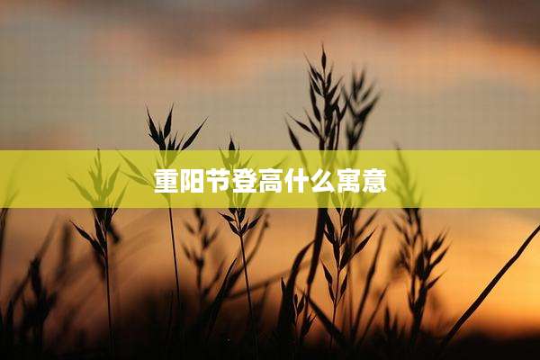 重阳节登高什么寓意
