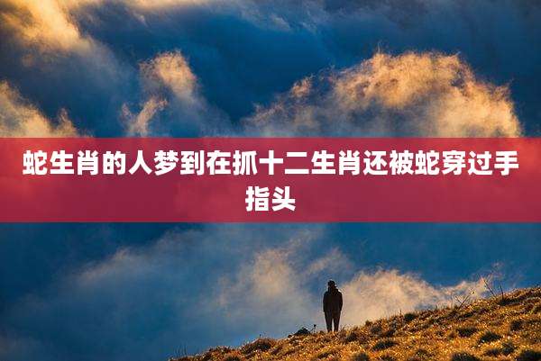蛇生肖的人梦到在抓十二生肖还被蛇穿过手指头