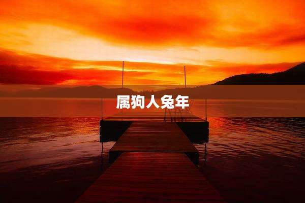 属狗人兔年