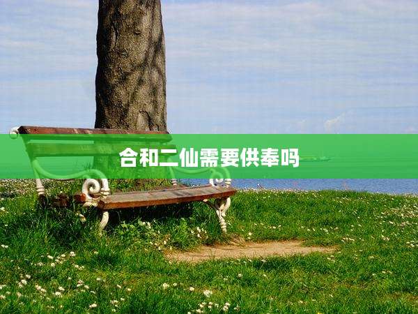 合和二仙需要供奉吗