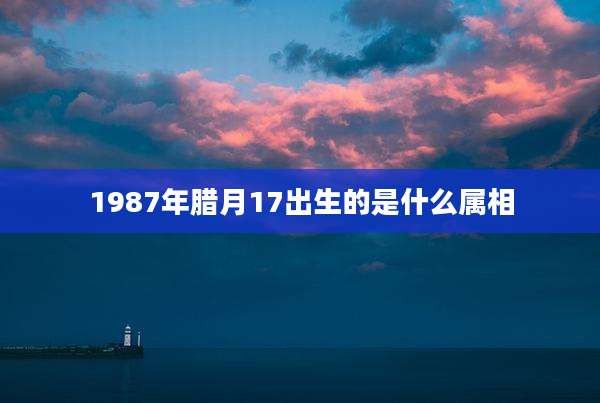 1987年腊月17出生的是什么属相
