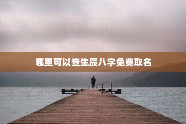 哪里可以查生辰八字免费取名